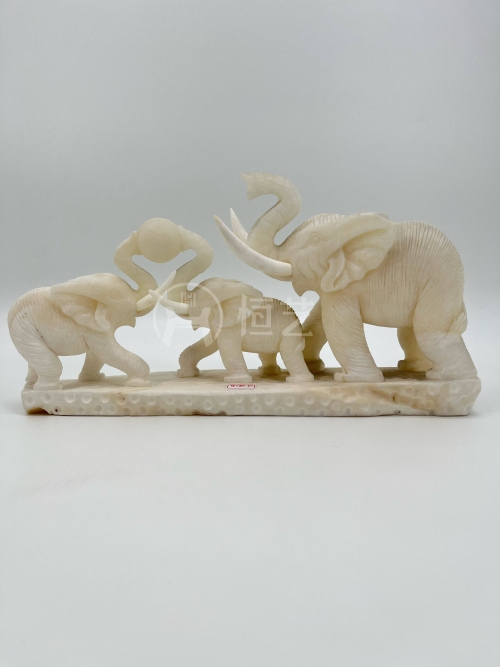 W砗磲-大象一家亲